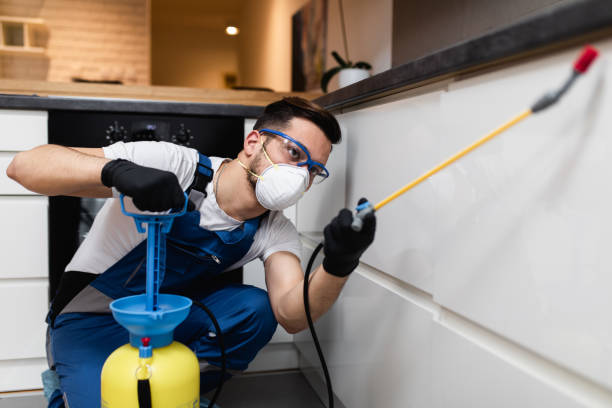 Best Emergency Pest Control  in Florence, AL