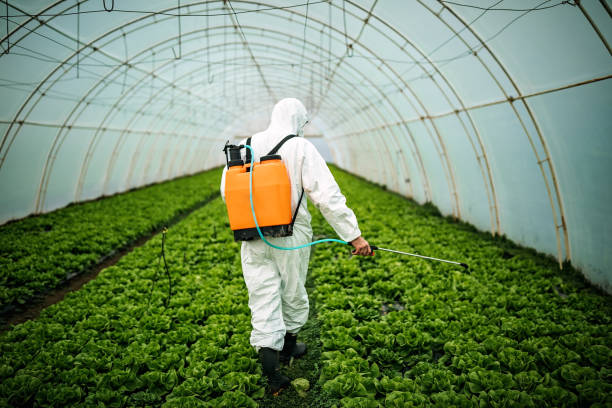 Best Residential Pest Control  in Florence, AL